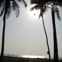 фото из отзыва ID 649975