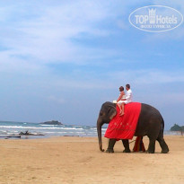 фото из отзыва ID 649852