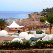 фото из отзыва ID 650008