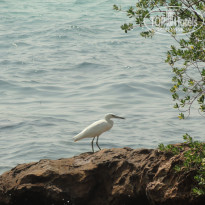 фото из отзыва ID 650143