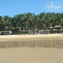 фото из отзыва ID 650202