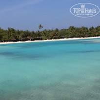 фото из отзыва ID 650222