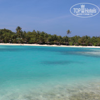 фото из отзыва ID 650222