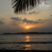 фото из отзыва ID 650222