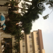 фото из отзыва ID 650252