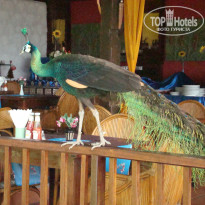 фото из отзыва ID 650282