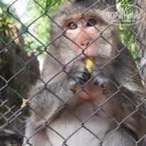 фото из отзыва ID 650383