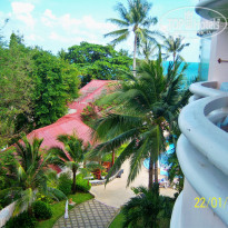 фото из отзыва ID 650512