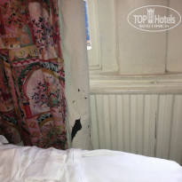 фото из отзыва ID 650546