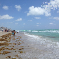 фото из отзыва ID 650605