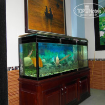 фото из отзыва ID 650750