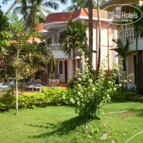 фото из отзыва ID 650754