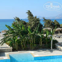 фото из отзыва ID 650094