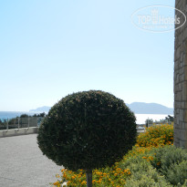 фото из отзыва ID 650094