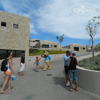 фото из отзыва ID 650094