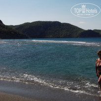 фото из отзыва ID 651118