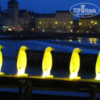 фото из отзыва ID 651170