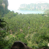 фото из отзыва ID 651190