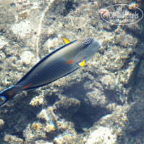 фото из отзыва ID 651283