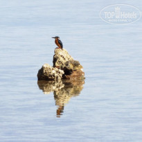 фото из отзыва ID 651283