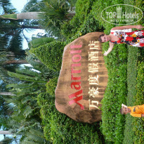 фото из отзыва ID 651353