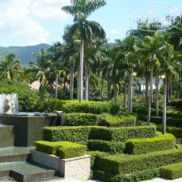 фото из отзыва ID 651353