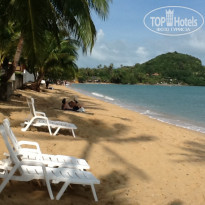 фото из отзыва ID 651389