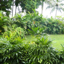 фото из отзыва ID 651729