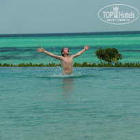 фото из отзыва ID 651957