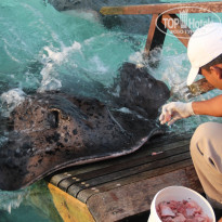 фото из отзыва ID 651957