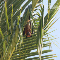 фото из отзыва ID 651957