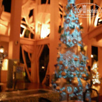 фото из отзыва ID 65248