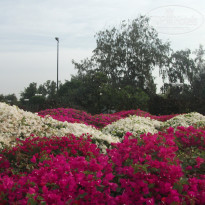 фото из отзыва ID 652033