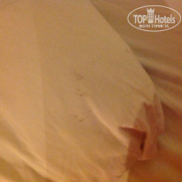 фото из отзыва ID 652128