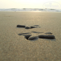 фото из отзыва ID 652226