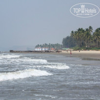 фото из отзыва ID 652226