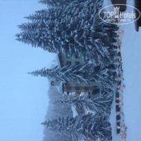 фото из отзыва ID 652319