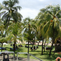 фото из отзыва ID 652585