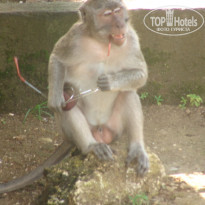 фото из отзыва ID 652585