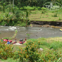 фото из отзыва ID 652585