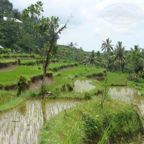 фото из отзыва ID 652585