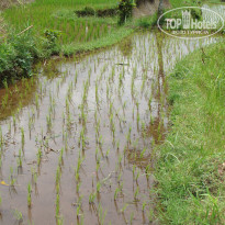 фото из отзыва ID 652585