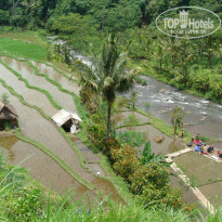 фото из отзыва ID 652585