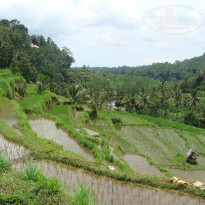 фото из отзыва ID 652585