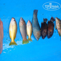 фото из отзыва ID 652585