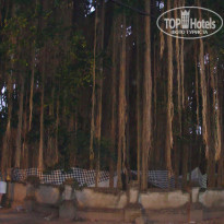 фото из отзыва ID 652585