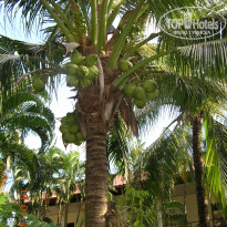 фото из отзыва ID 652878