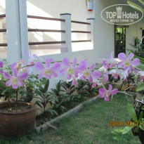 фото из отзыва ID 652878