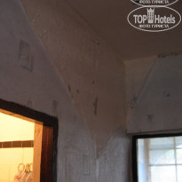 фото из отзыва ID 65325