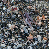 фото из отзыва ID 653951